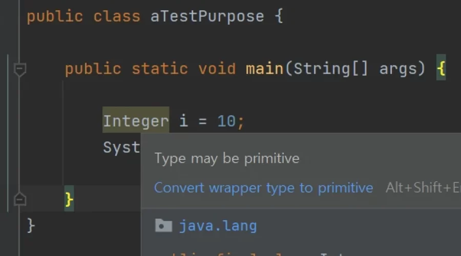 자바 Type may be primitive Warning 발생 이유